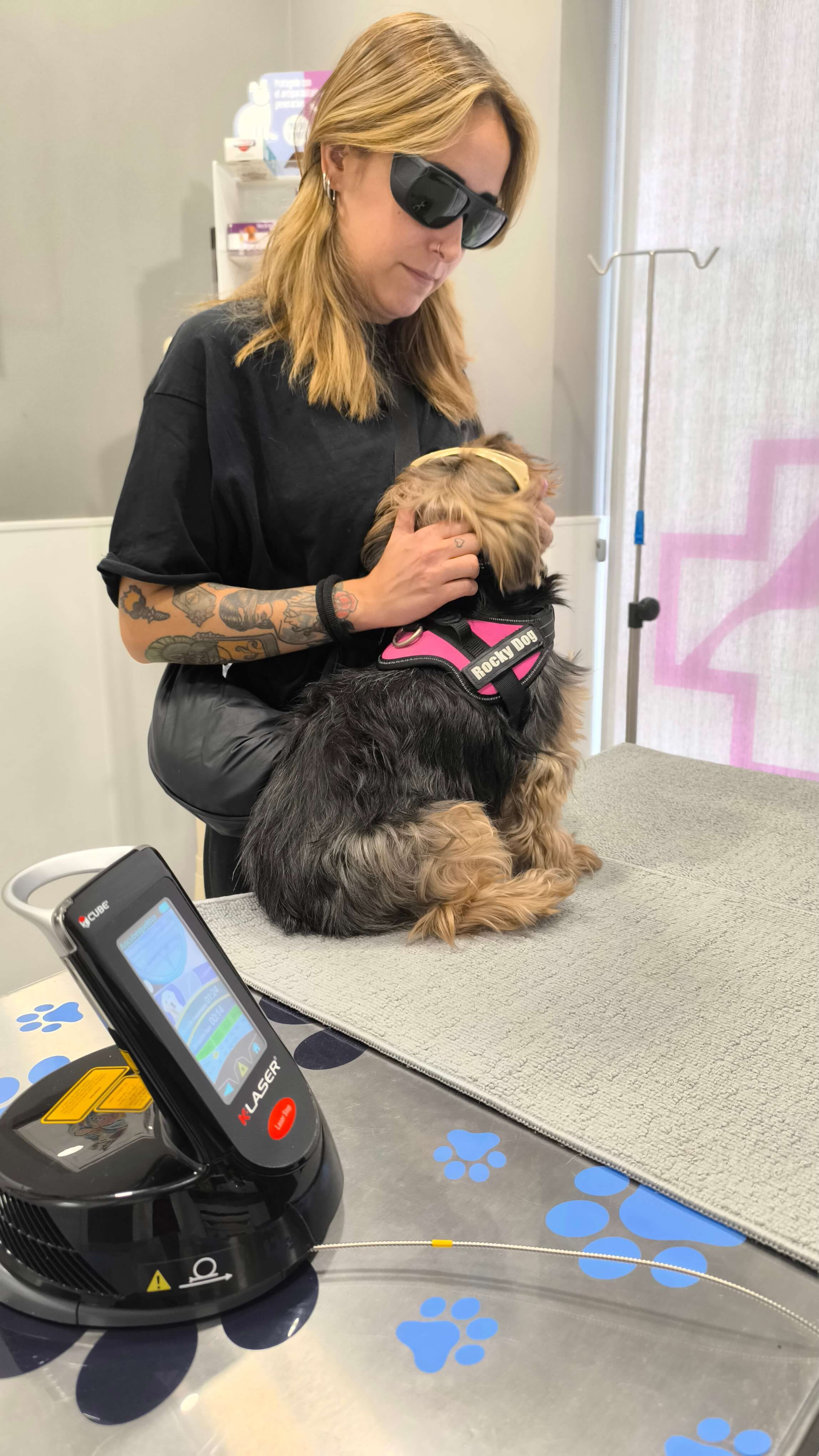 Terapia Láser: El poder de la luz al servicio de la salud de tu mascota