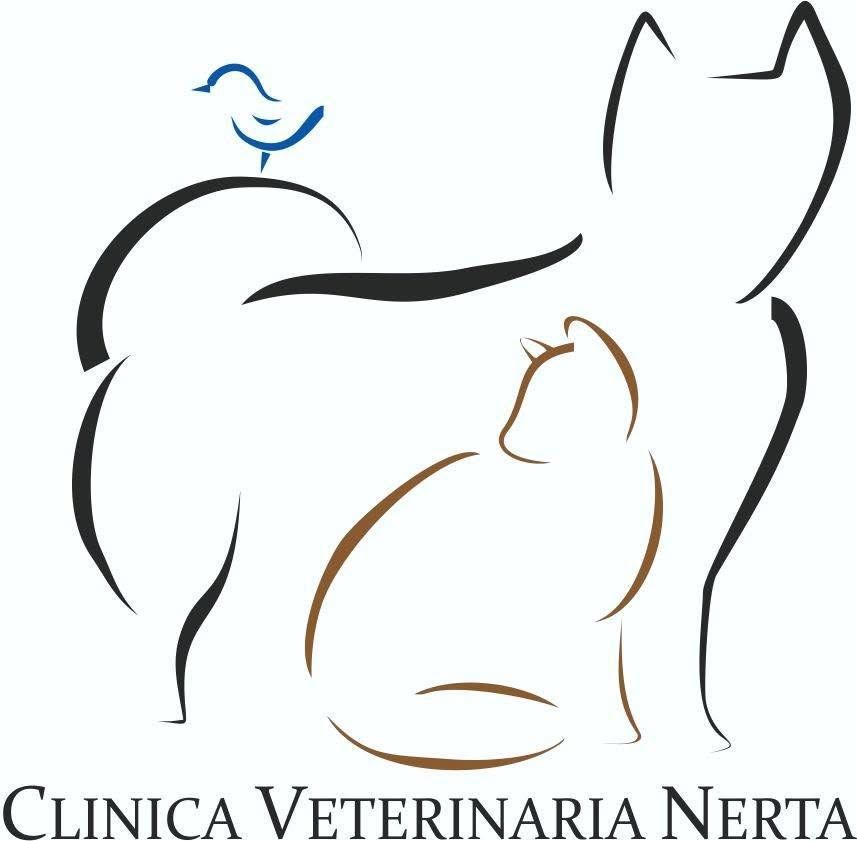 Clínica Veterinaria Nerta