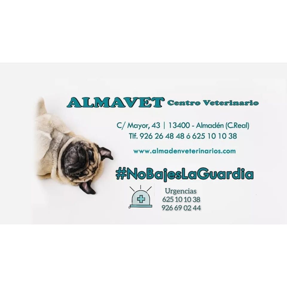 logotipo