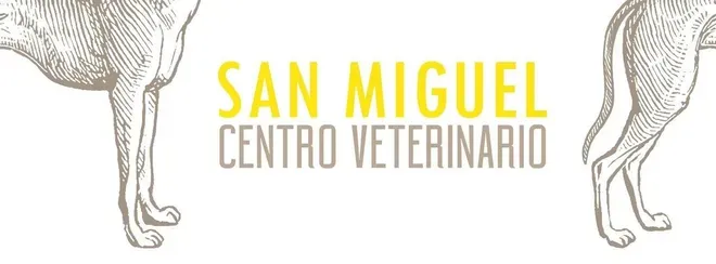 Centro Veterinario San Miguel