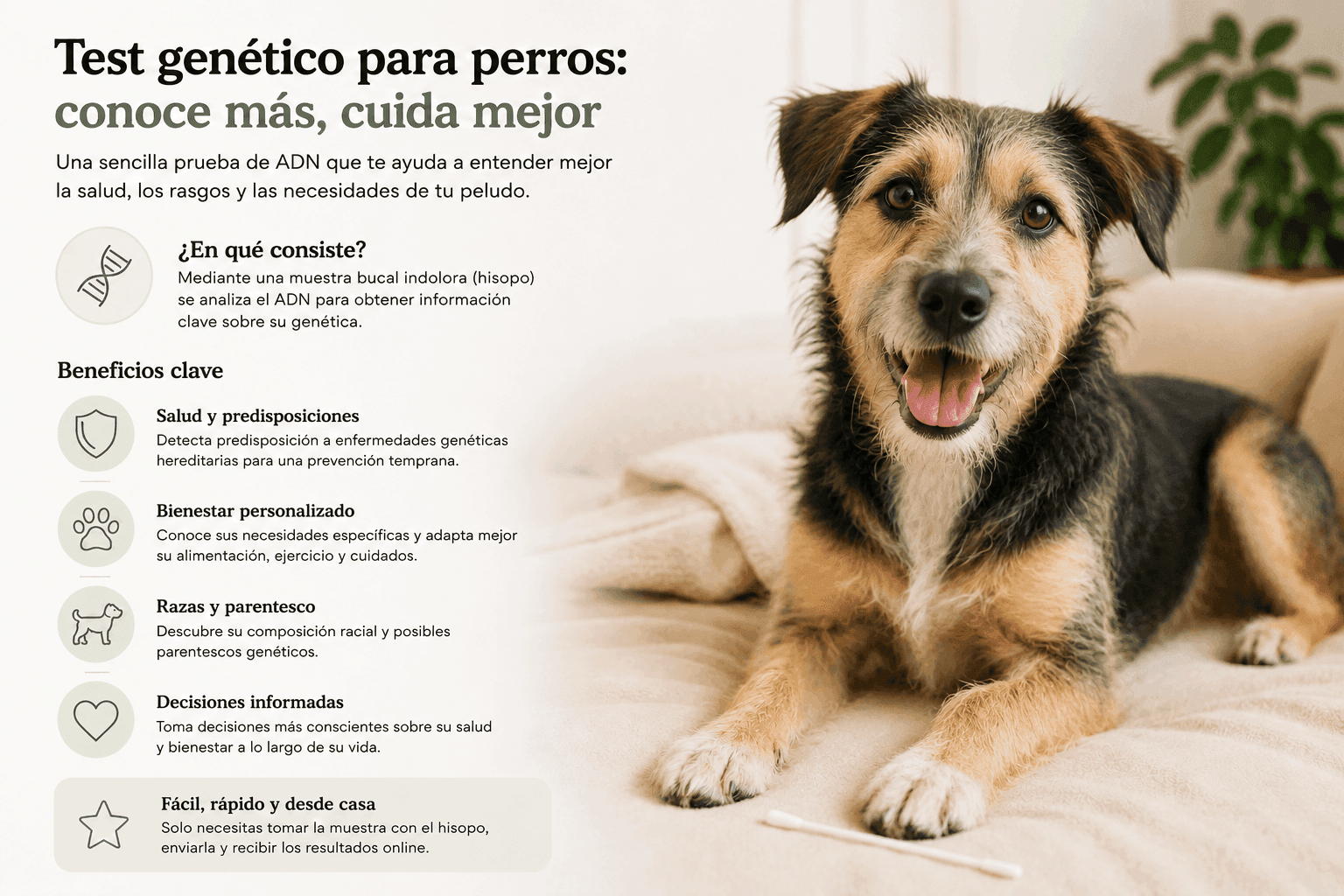 Test genético para perros: por qué cada vez más familias lo utilizan para cuidar mejor su salud