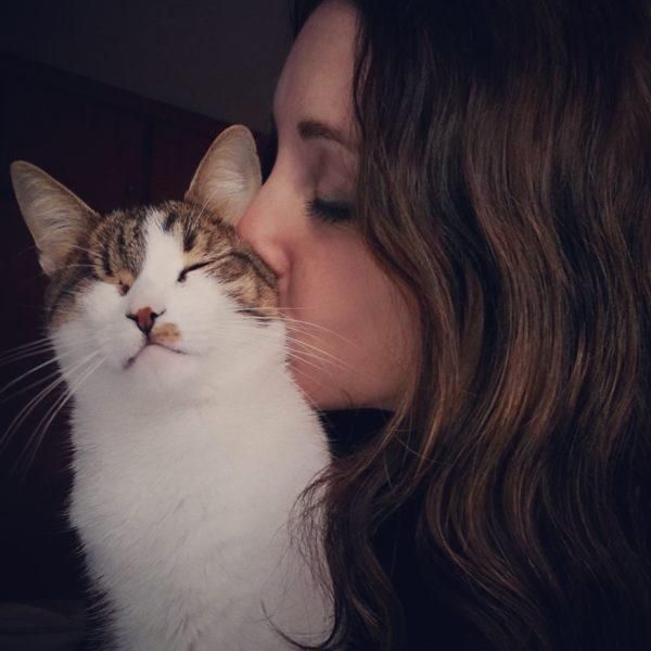 Problemas de eliminación en gatos: qué significan y cómo abordarlos