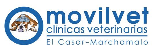 Movilvet
