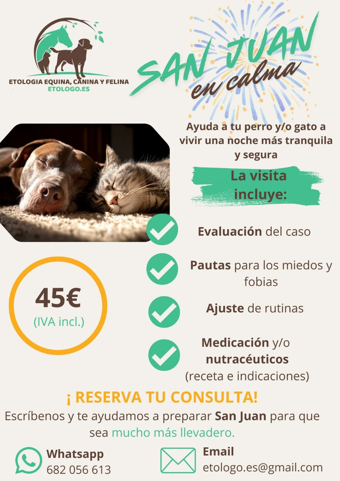 Miedo a petardos: Cómo hacer que mi perro pase un San Juan tranquilo