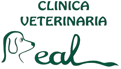 Clínica Veterinaria Real