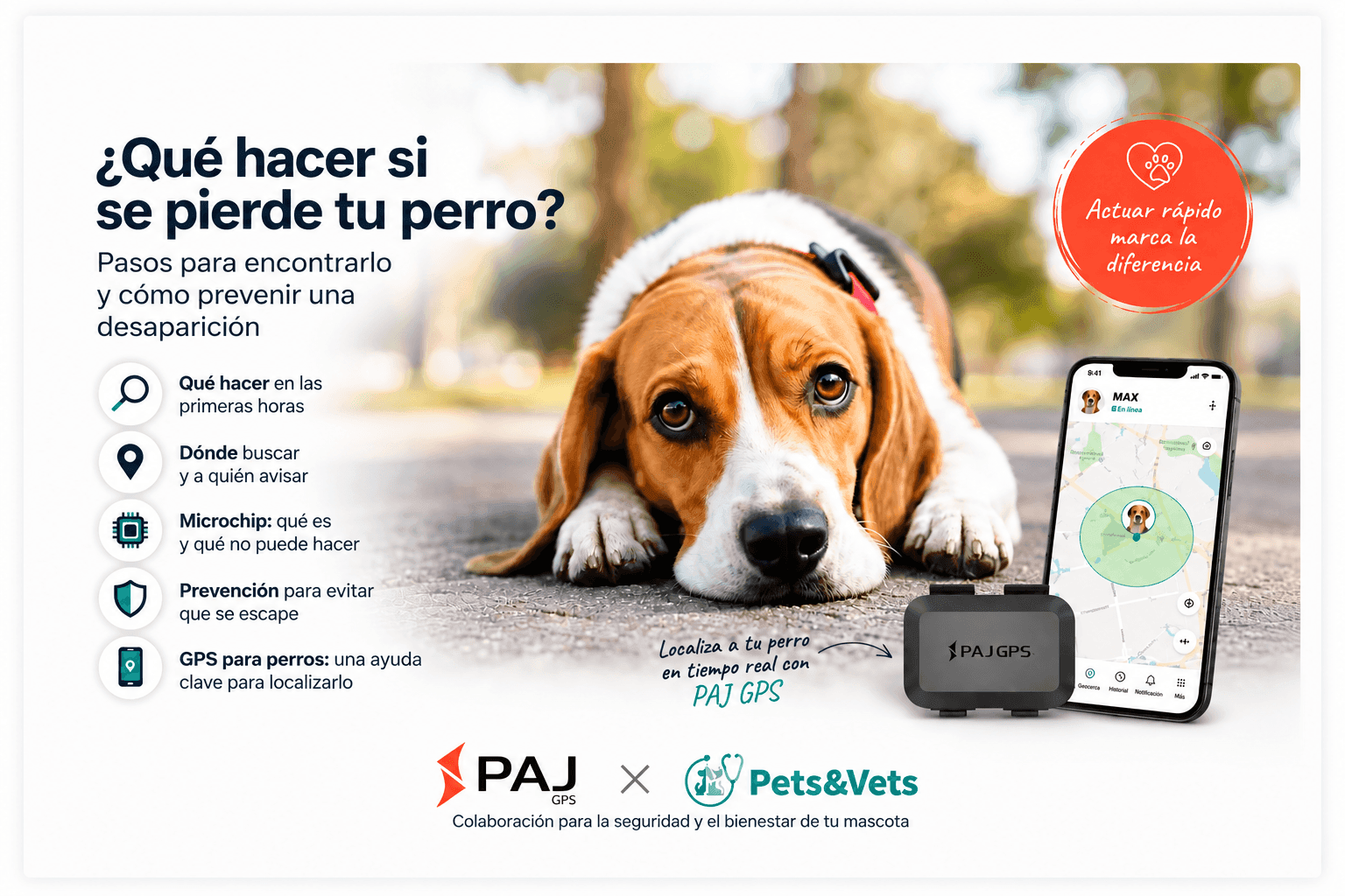 Perro junto a un localizador PAJ GPS y un móvil con seguimiento en tiempo real, colaboración entre PAJ GPS y Pets & Vets para prevenir la pérdida de perros